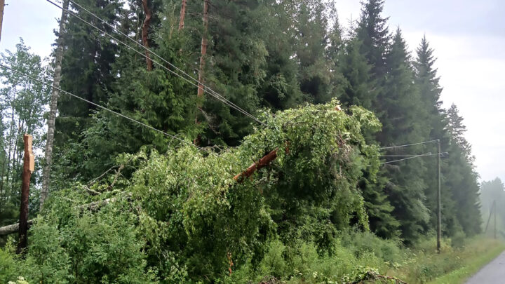 Puu kaatunut ukkosmyrkyssä linjan päälle.
