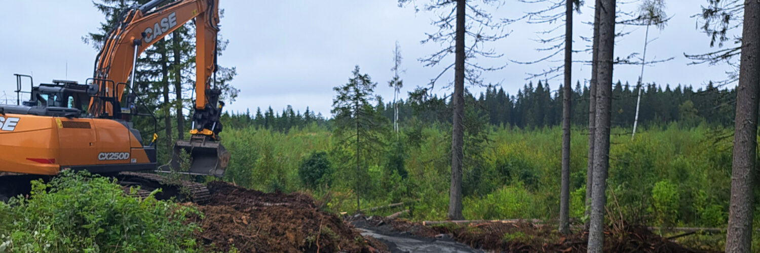 Työmaa kesällä metsässä.