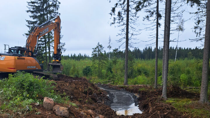 Työmaa kesällä metsässä.